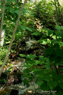 g4/46/651846/3/63049521.rR38ibMA.jpg
