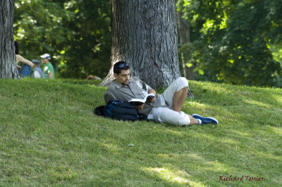 Le parc Lafontaine - coin de lecture pict2908.jpg