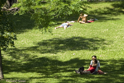 Le parc Lafontaine - Les amoureux y ont leurs places pict2910.jpg