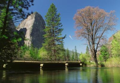 Cathedral Rocks