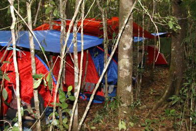 Our camp on the Palawan Striped Babbler Expedition