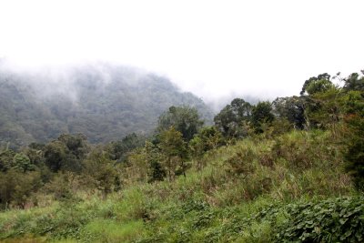 Site H, Mount Apo