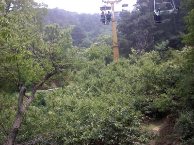 0609121227.jpg