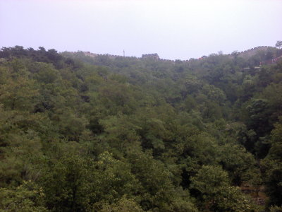 0609121230a.jpg