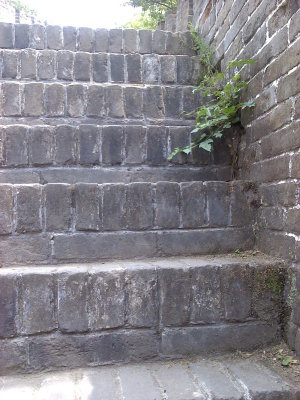 0609121300.jpg