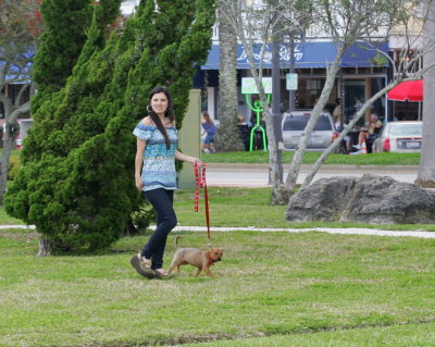 Bad Dog