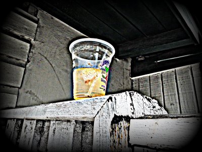 Abandoned & Half Gone