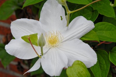 DSC_0003.jpg