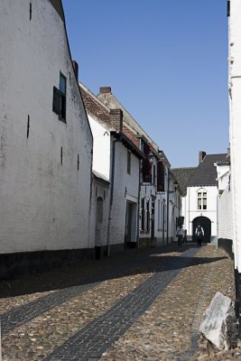 _MG_4169.jpg