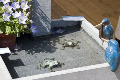 _MG_4455.jpg