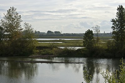 _MG_6143.jpg