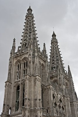 _MG_6780.jpg