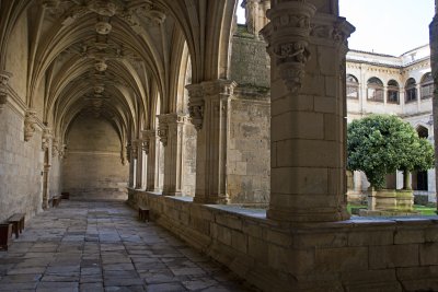 _MG_7025.jpg