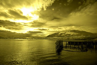 _DSC2692_resize.JPG