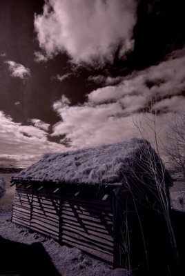 _DSC2823_resize.jpg