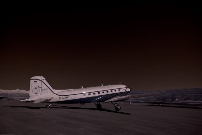 _DSC3129_resize.jpg