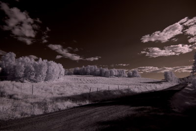_DSC3354_resize.jpg