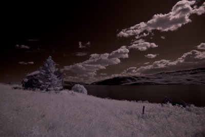 _DSC3426_resize.JPG