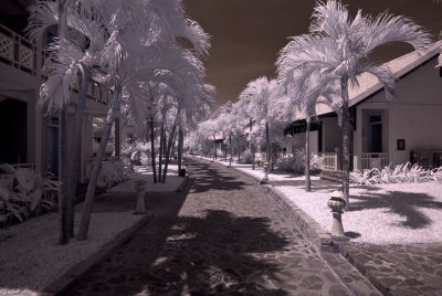 _DSC4001_resize.jpg
