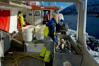 Norfra 35.jpg