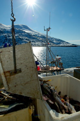 Norfra 53.jpg