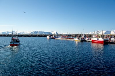 Norfra 66.jpg