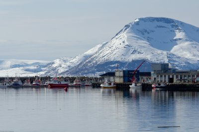 Norfra 122.JPG