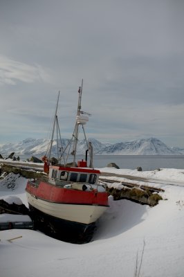 Norfra 85.JPG