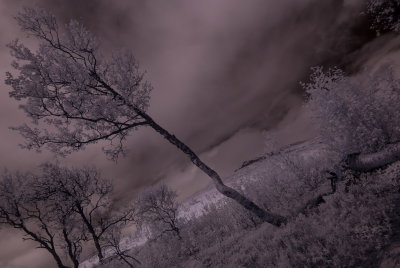 _DSC4063_resize.jpg
