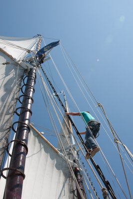 IMG_0469.jpg