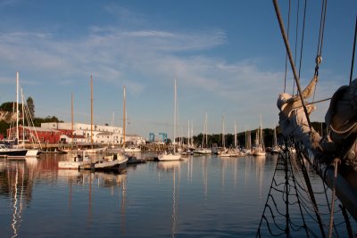 IMG_0199.jpg