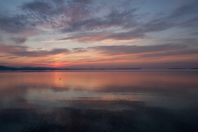 IMG_0615.jpg