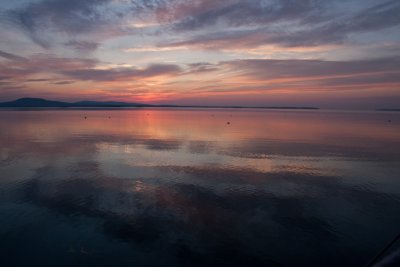 IMG_0616.jpg
