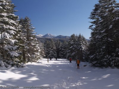 P1073197.JPG