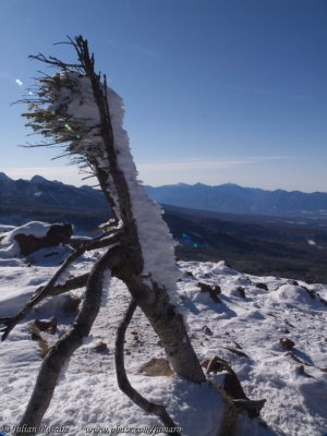 P1083286.JPG