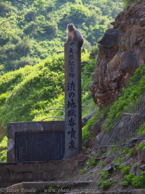 P6145446.JPG