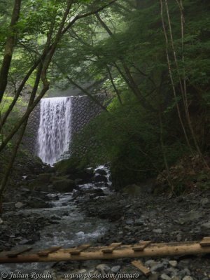 tanzawa