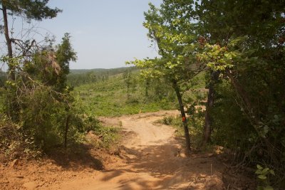 RY5Y0502.jpg