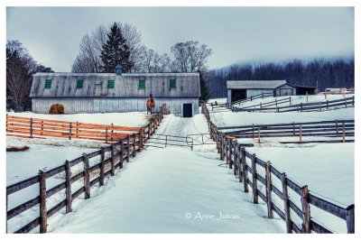 Pause  la ferme