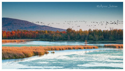 Au Fil de l'Eau   ~ Waterscape