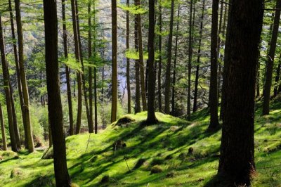 Above Thirlmere near Raven Crag