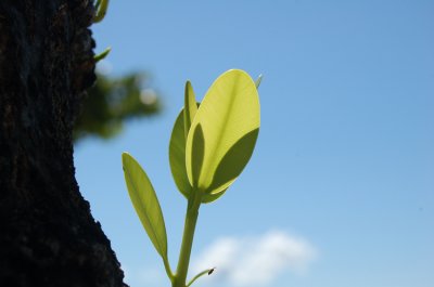 g4/46/980146/3/139046345.7zZB7MND.jpg