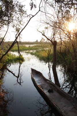 Okavango Delta