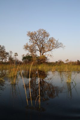 Okavango Delta