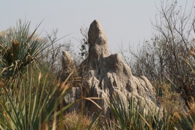 Okavango Delta