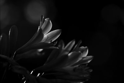 g4/46/980146/3/145748494.k2C0ifeQ.jpg