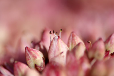 g4/46/980146/3/145879193.Ib80H6w4.jpg