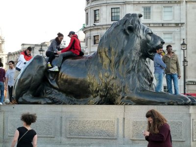 Trafalgar Square Lion