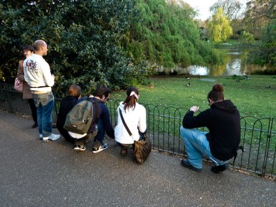 St James Park