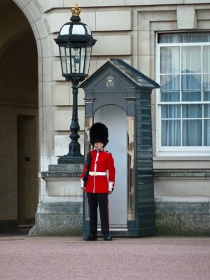 Queen's Guard at Buckingham Palace